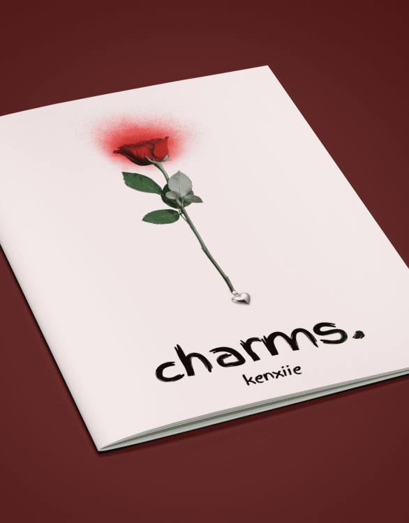 CHARMS book mockup